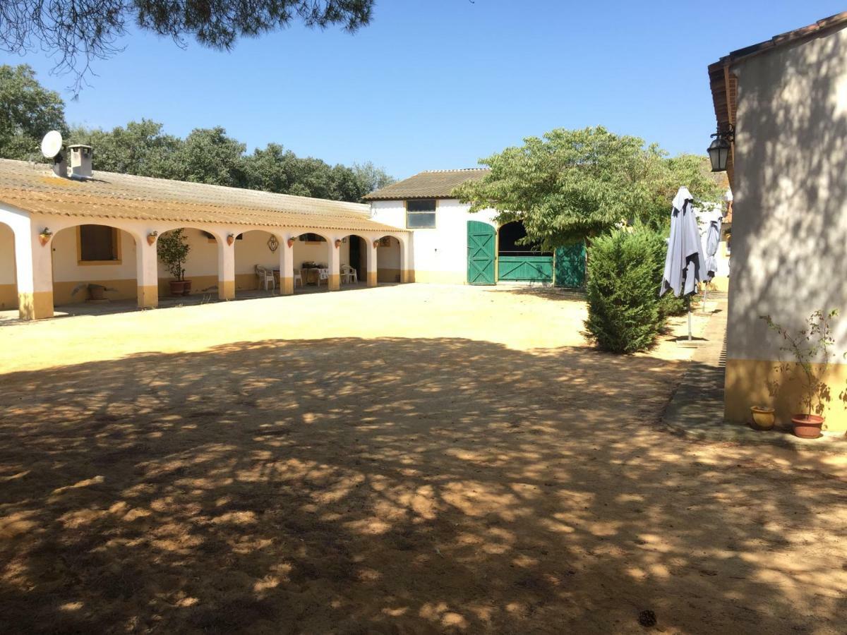 El Rocio 1 Gites Equestre Σαιντ-Μαρί-ντε-λα-Μερ Εξωτερικό φωτογραφία