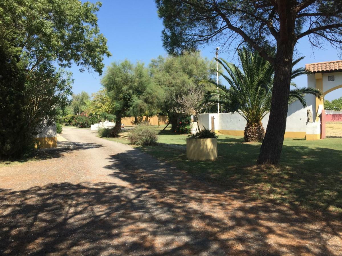 El Rocio 1 Gites Equestre Σαιντ-Μαρί-ντε-λα-Μερ Εξωτερικό φωτογραφία